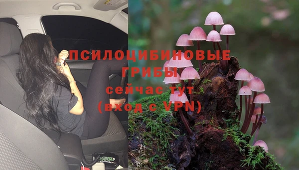 марки nbome Алзамай
