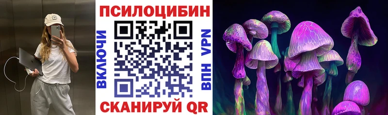 Псилоцибиновые грибы прущие грибы  Суджа 