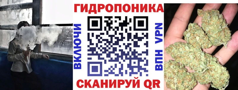 Бошки марихуана план  KRAKEN   Суджа  darknet клад  закладки 